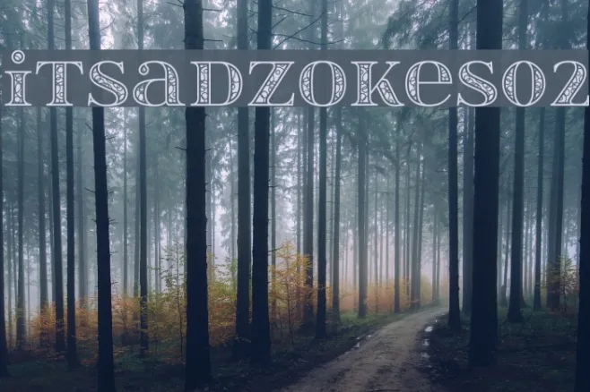 itsadzokeS02 Example 2