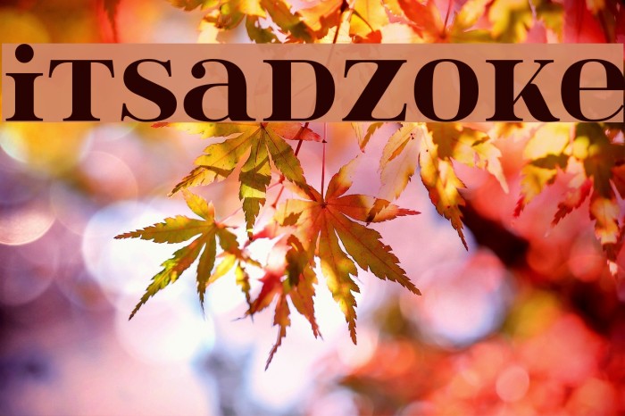 itsadzoke Font examples
