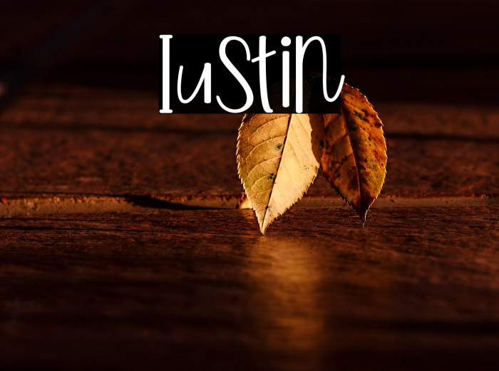 Iustin Example 1