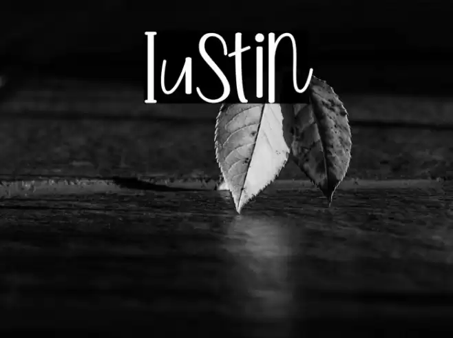 Iustin Font examples