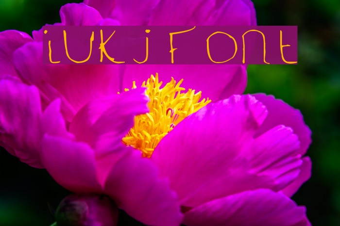 iukj Font examples