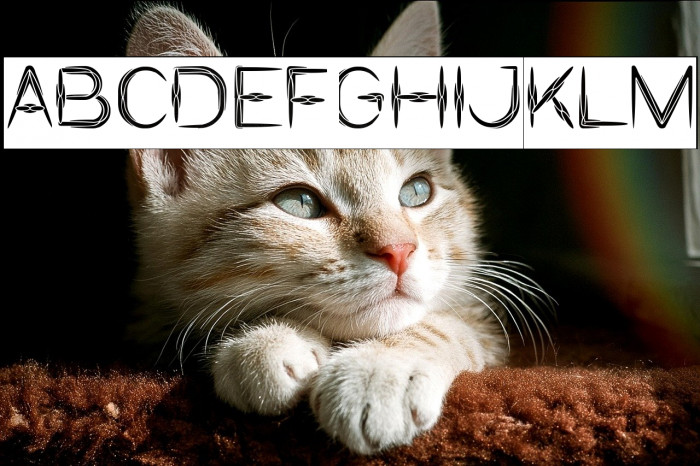 IVORY CULTURE-Inverse Example 3