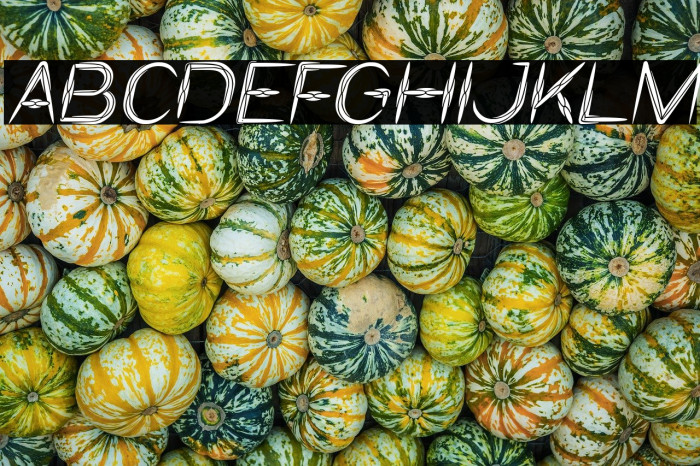 IVORY CULTURE Italic Example 2