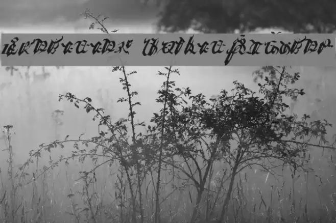 Ivalician GothicRegular Font examples