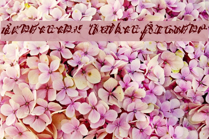 Ivalician GothicRegular Example 3