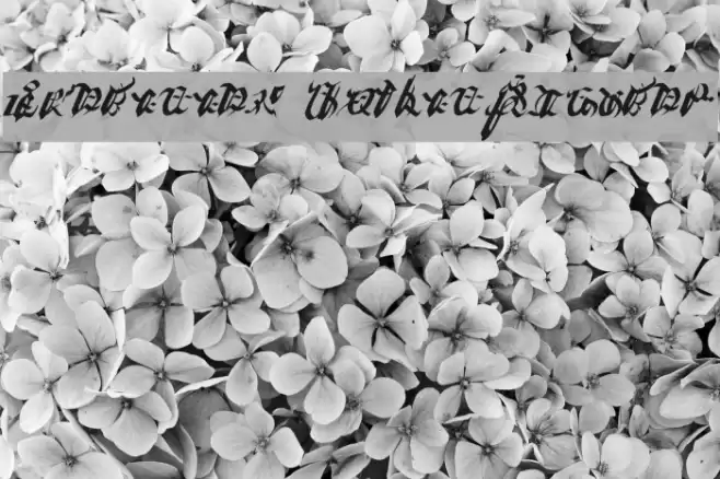 Ivalician GothicRegular Font examples