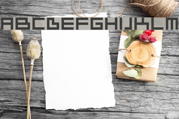 Ivorg Font examples