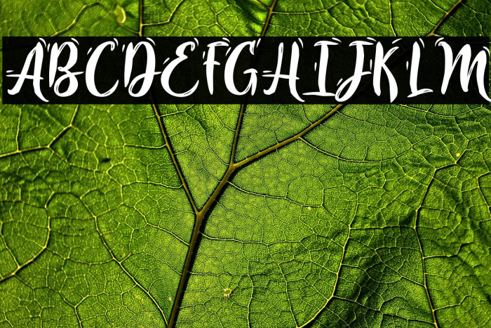 IvoryChill-PersonalUse Example 1