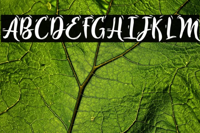 IvoryChill-PersonalUse Example 1