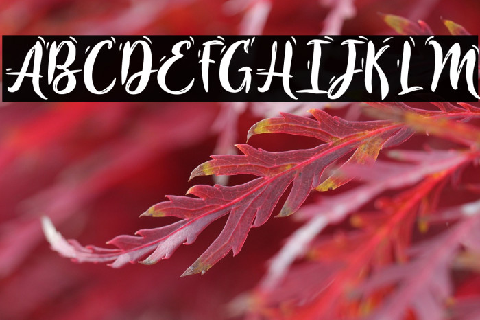 IvoryChill-PersonalUse Example 2