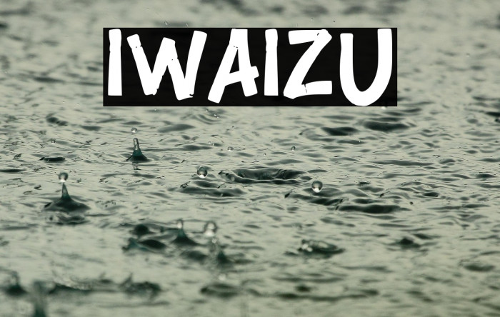 IWAIZU Example 1