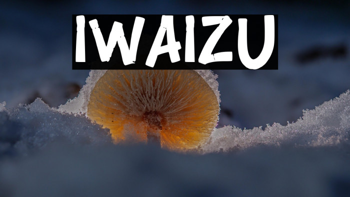 IWAIZU Example 2