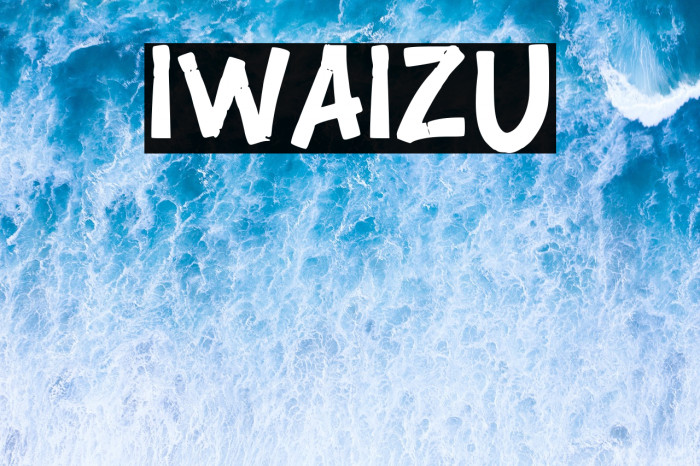 IWAIZU Example 3