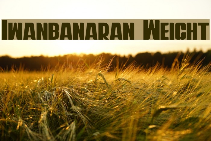 Iwanbanaran Weight Example 2