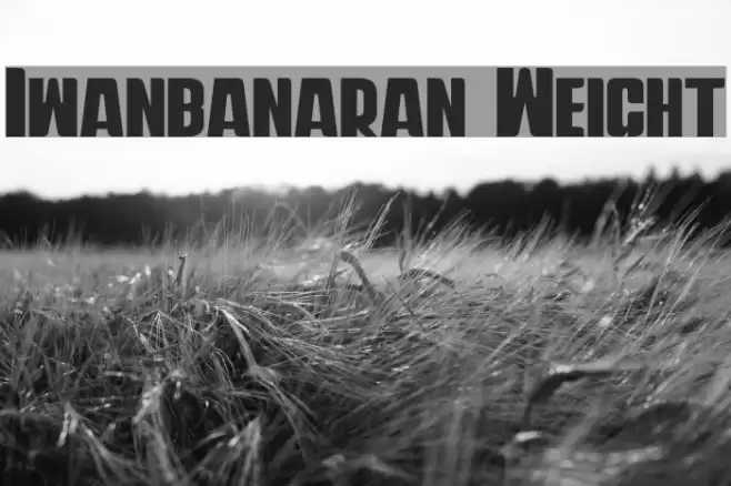 Iwanbanaran Weight Font examples