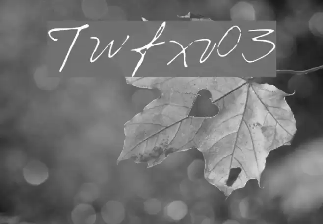 Iwfxv03 Font examples