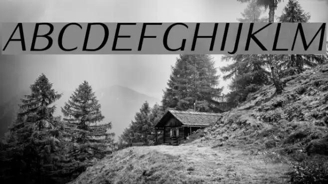 Iwona-Italic Font examples