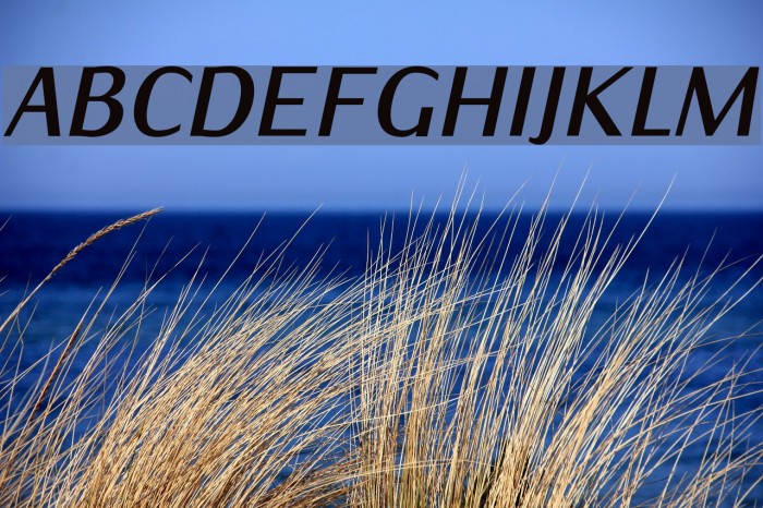 IwonaCond-BoldItalic Font examples