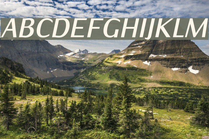 IwonaCond-BoldItalic Font examples