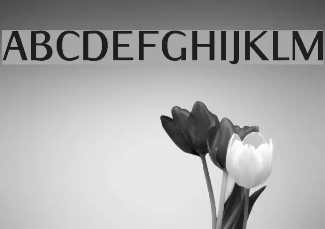 IwonaCond-Bold Schriftart examples