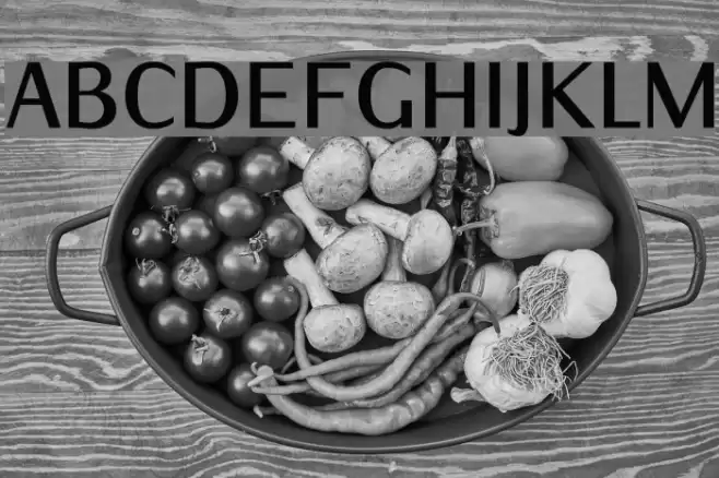 IwonaCond-Bold Schriftart examples