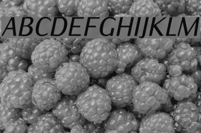 IwonaCondMedium-Italic examples