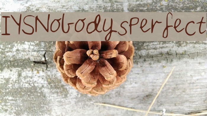 IYSNobodysPerfect Font examples