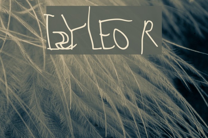 IZZY LEO Regular Font examples