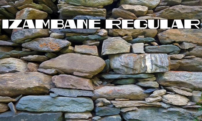 Izambane Regular Example 2