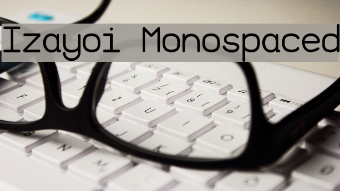 Izayoi Monospaced Font examples