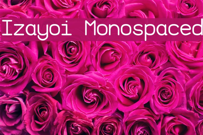Izayoi Monospaced Font examples