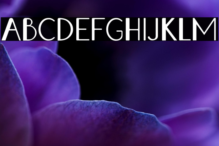 Izumi Hana Example 3