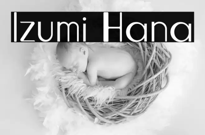 Izumi Hana Font examples
