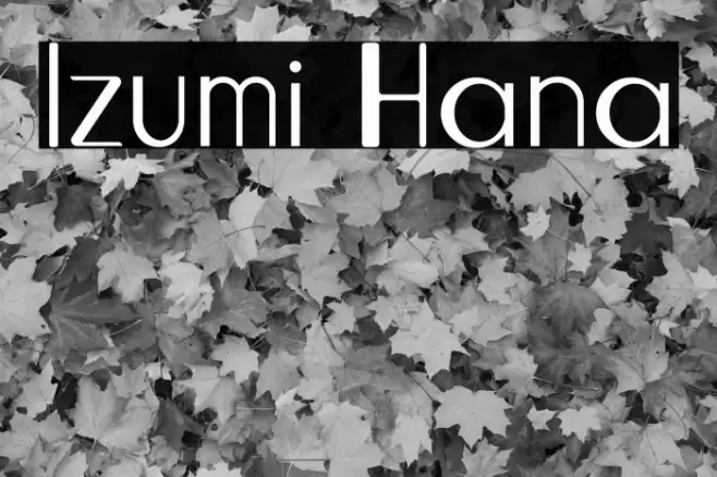 Izumi Hana Font examples