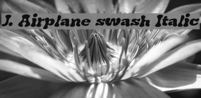 J. Airplane swash Italic خط examples