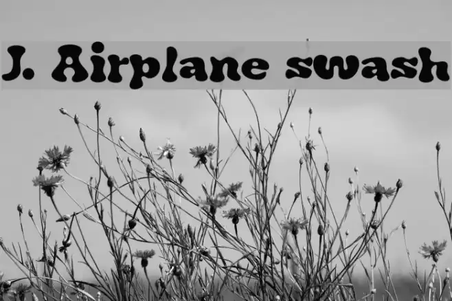 J. Airplane swash Font examples