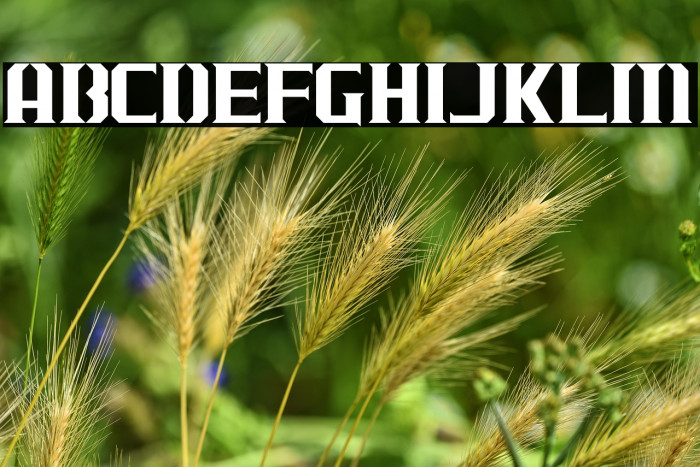 J-LOG Cameron Edge Normal Example 1