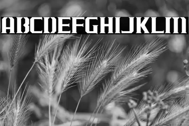 J-LOG Cameron Edge Normal خط examples