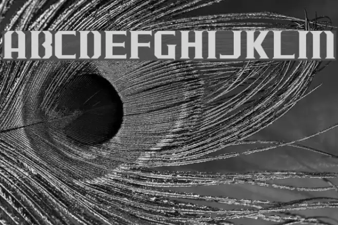 J-LOG Cameron Edge Normal Font examples