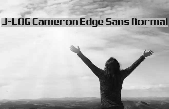 J-LOG Cameron Edge Sans Normal フォント examples