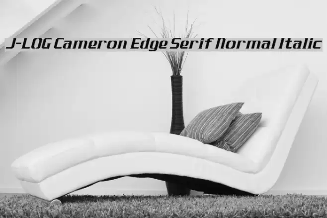 J-LOG Cameron Edge Serif Normal Italic フォント examples