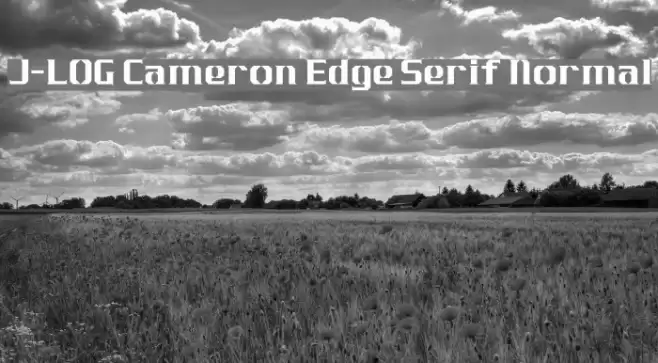 J-LOG Cameron Edge Serif Normal Font examples