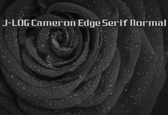 J-LOG Cameron Edge Serif Normal Font examples