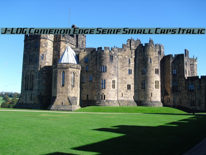 J-LOG Cameron Edge Serif Small Caps Italic 字体 examples