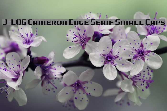 J-LOG Cameron Edge Serif Small Caps Шрифта examples