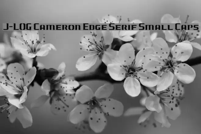 J-LOG Cameron Edge Serif Small Caps Шрифта examples