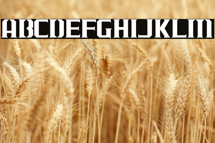 J-LOG Cameron Edge Small Caps Example 1