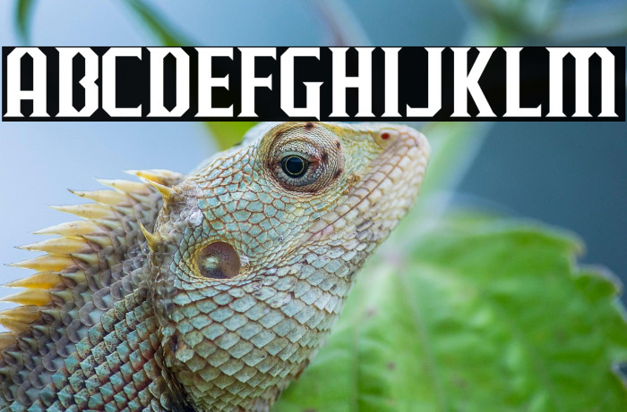 J-LOG Razor Edge Normal Example 1