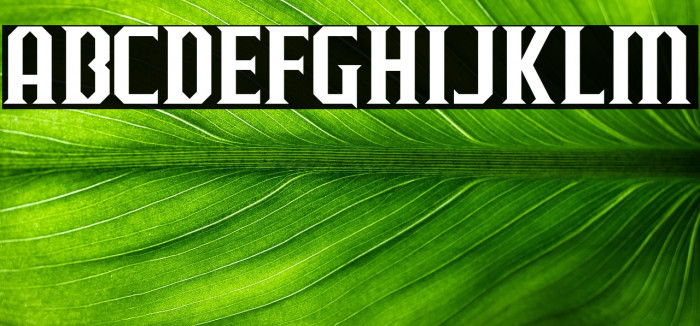 J-LOG Razor Edge Normal Example 2