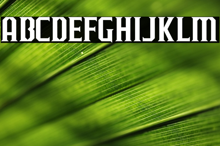 J-LOG Razor Edge Normal Example 3